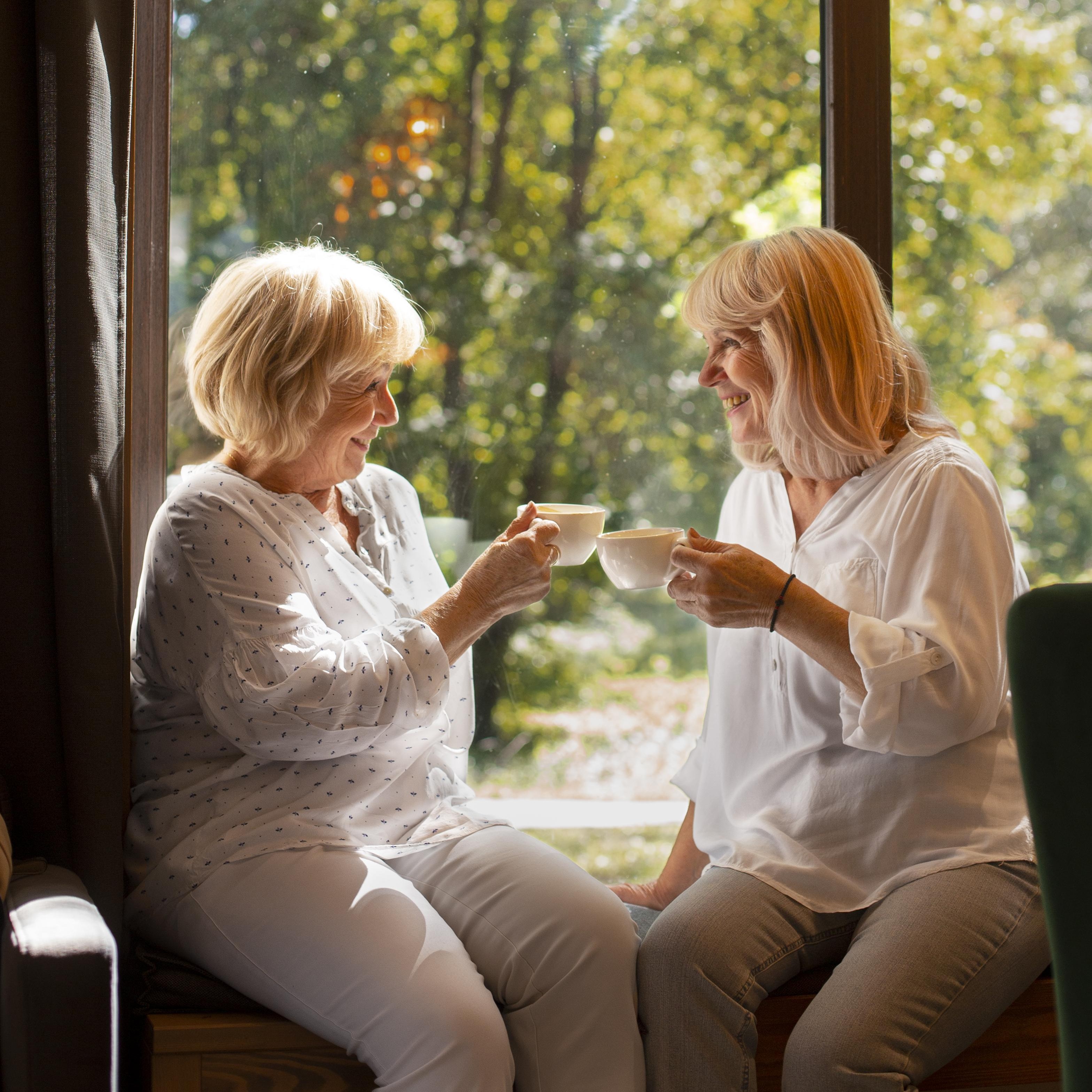 Community partner speaking with an older adult